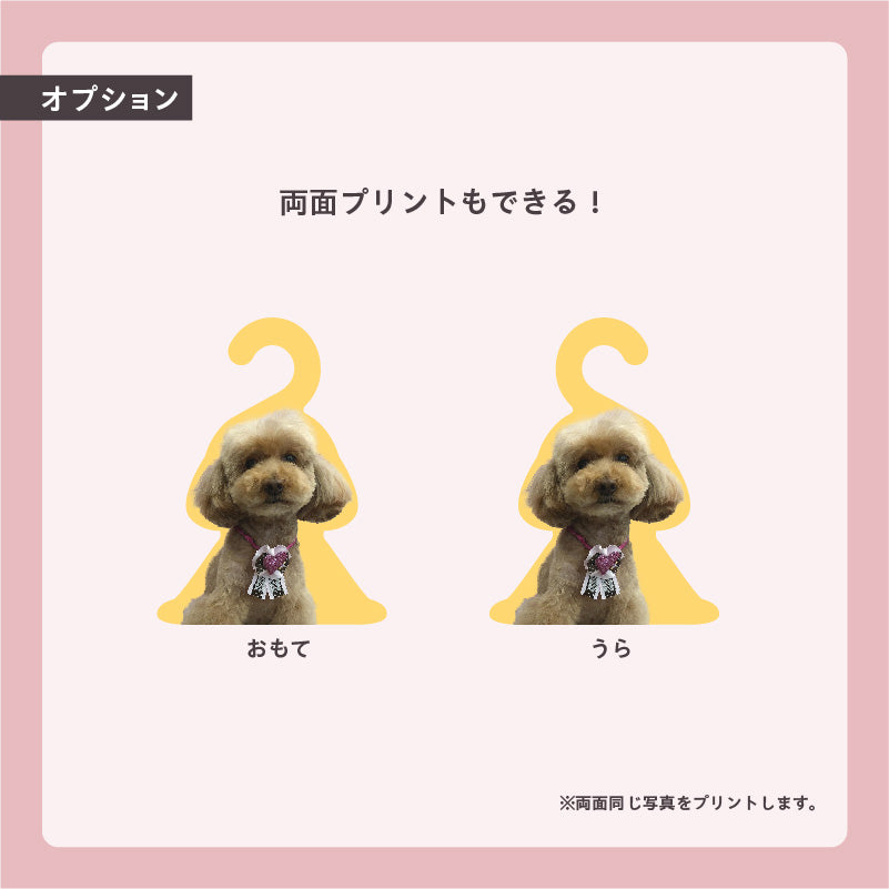 フォトハンガー -ペット用-(うちのこカラー)
