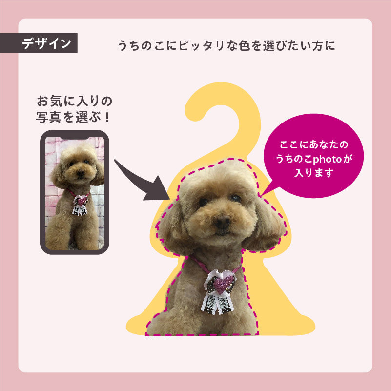 フォトハンガー -ペット用-(うちのこカラー)