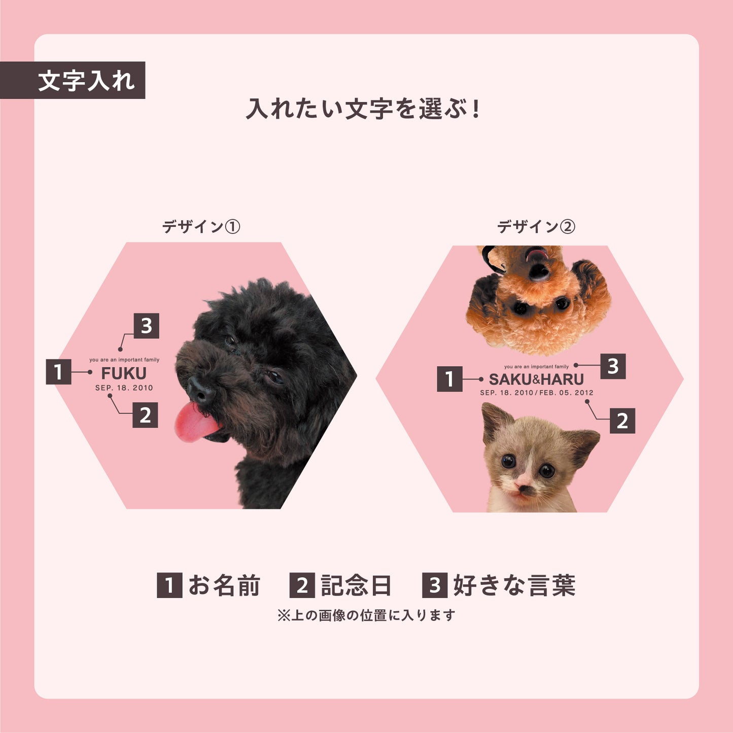 ダンボール製フォトキャンバス(六角形)