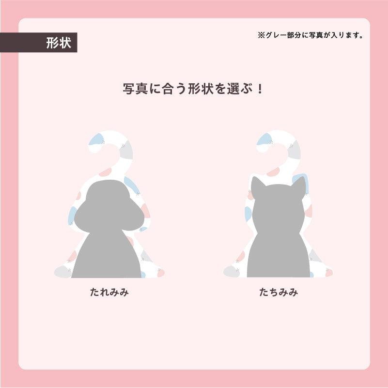 フォトハンガー -ペット用-(ふわふわすてっぷ)