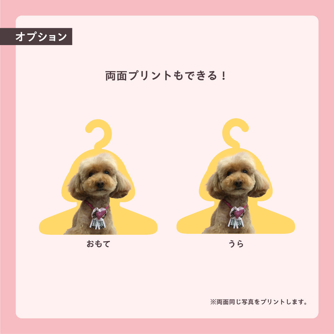 【まとめ買い】フォトハンガー -飼い主さん用-(うちのこカラー)5枚セット