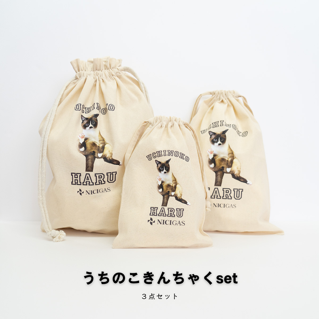 でガ割もふもふ新規加入特典（きんちゃくセット）