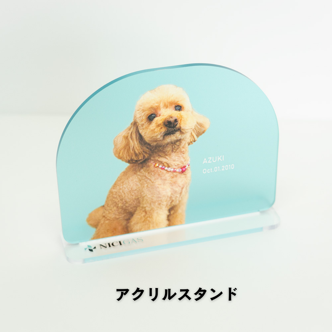 でガ割もふもふ新規加入特典（アクリルスタンド）