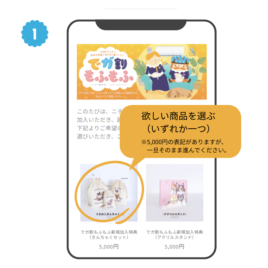 でガ割もふもふ新規加入特典　お申し込みの流れ