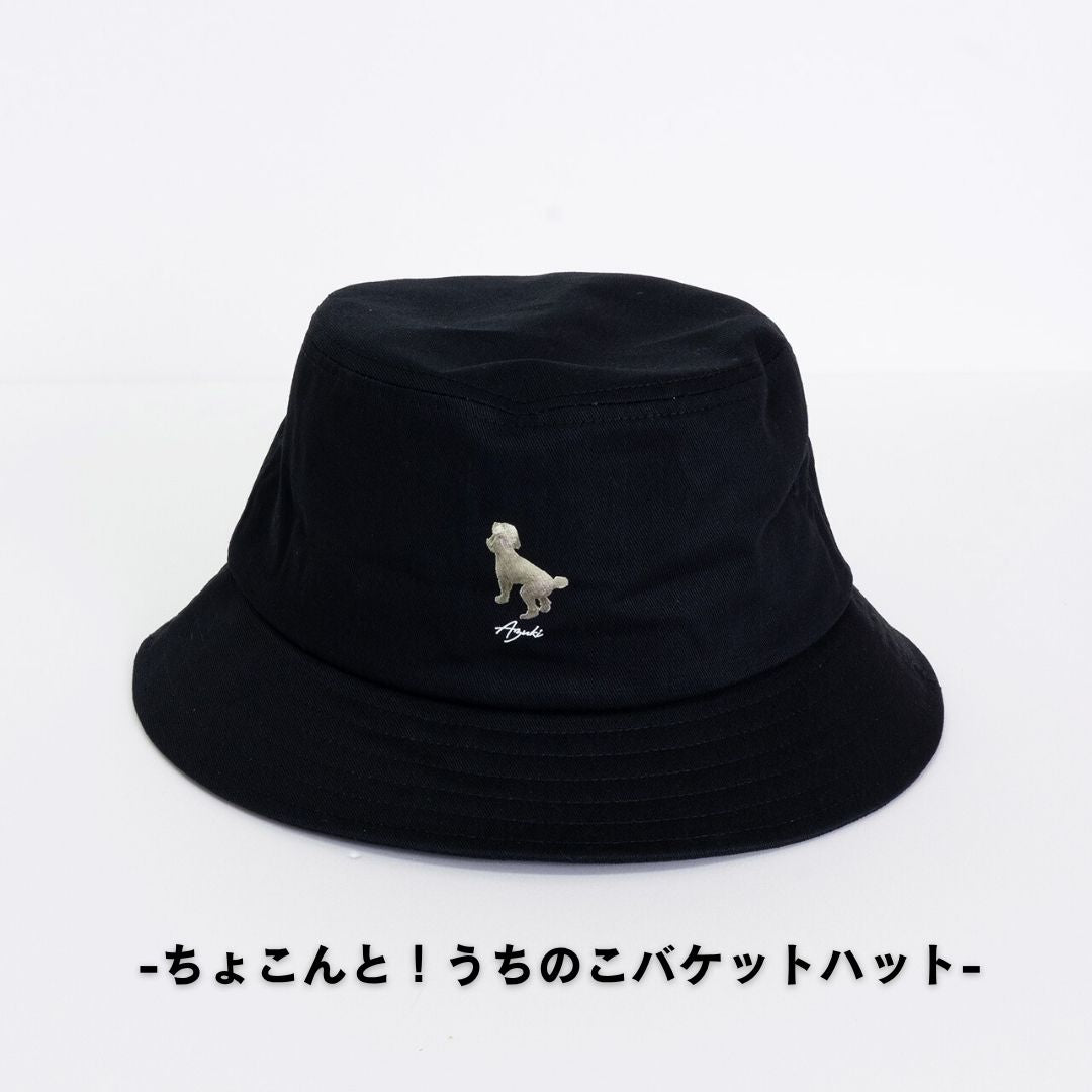 ちょこんと！うちのこバケハ