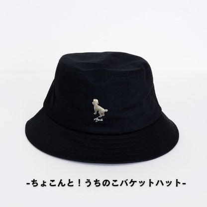 ちょこんと！うちのこバケハ