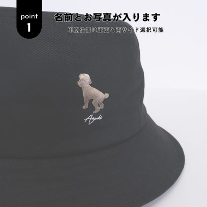 ちょこんと！うちのこバケハ