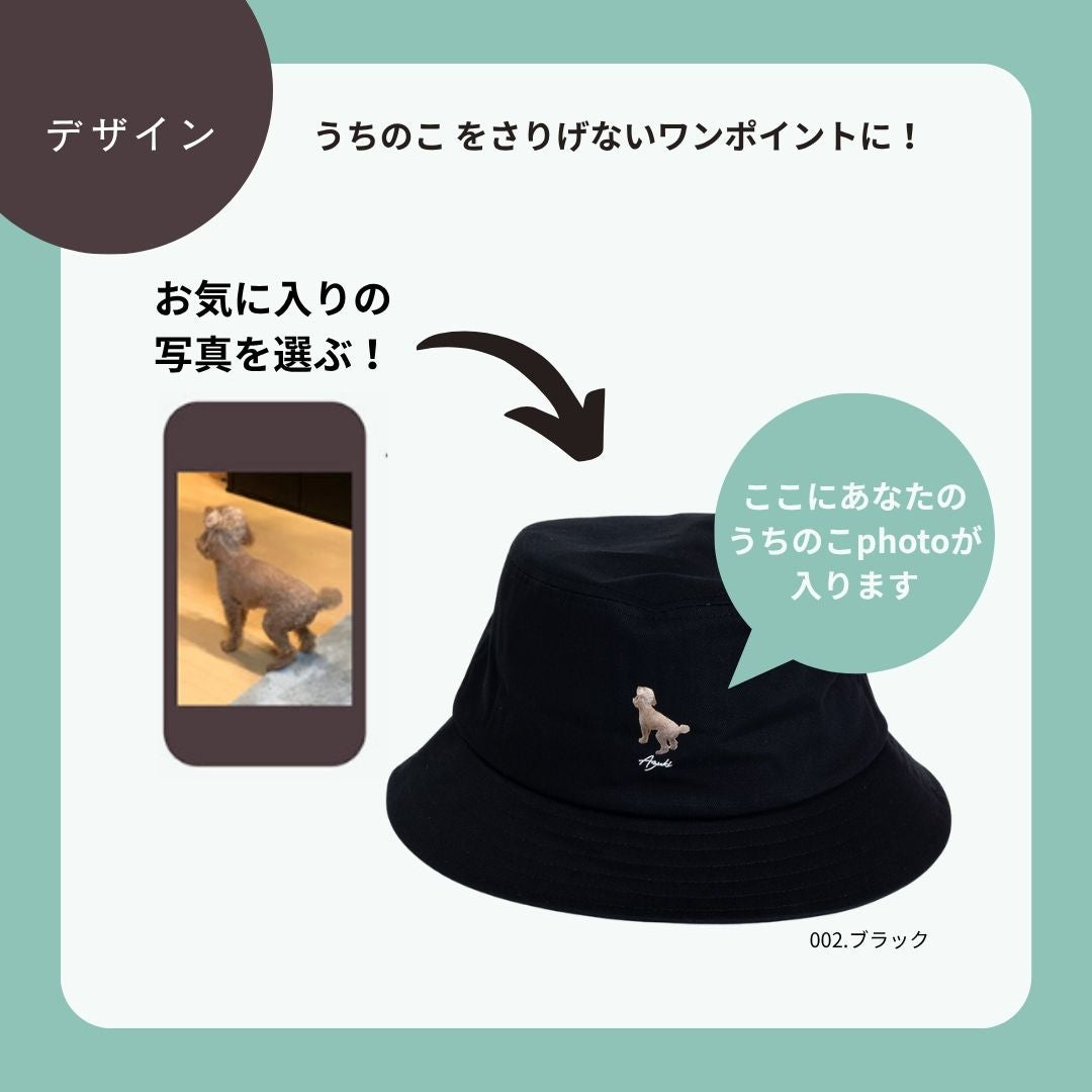 ちょこんと！うちのこバケハ