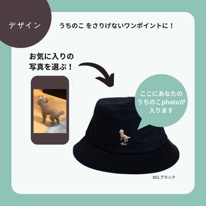 ちょこんと！うちのこバケハ