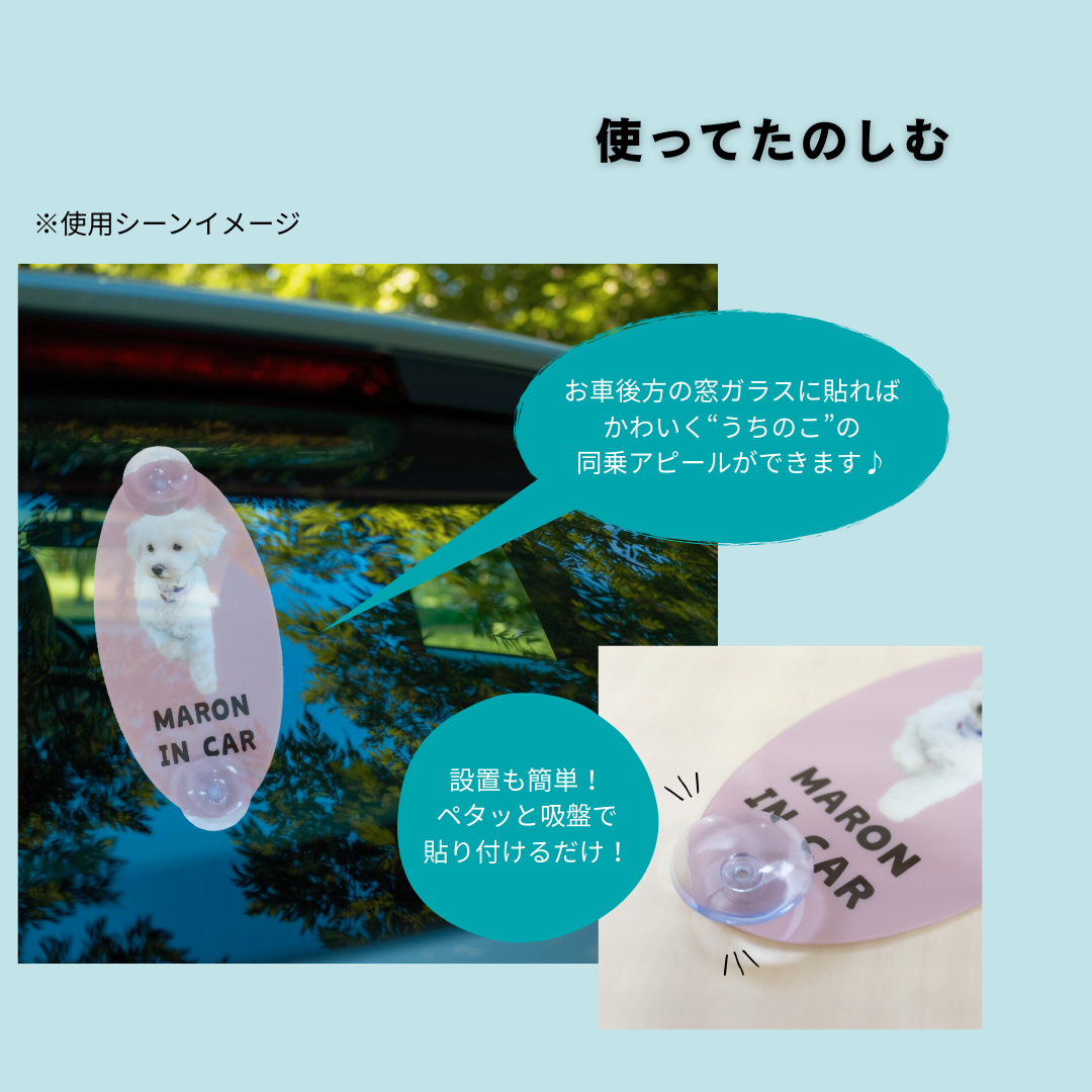 うちのこ in CAR（車内サイン）