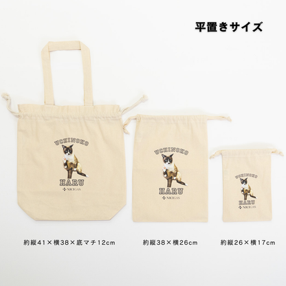 でガ割もふもふ新規加入特典（きんちゃくセット）