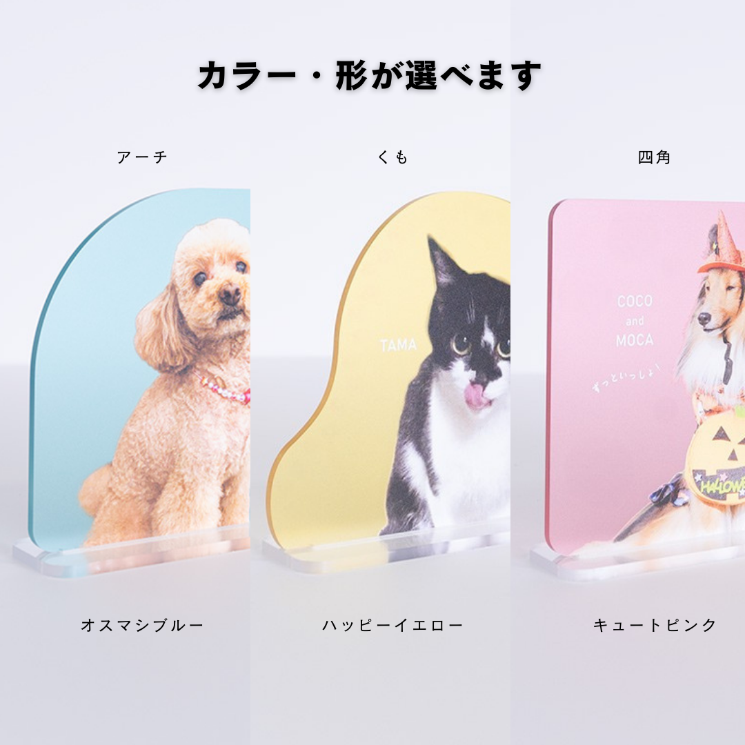 でガ割もふもふ新規加入特典（アクリルスタンド）