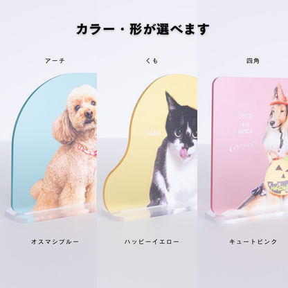 でガ割もふもふ新規加入特典（アクリルスタンド）