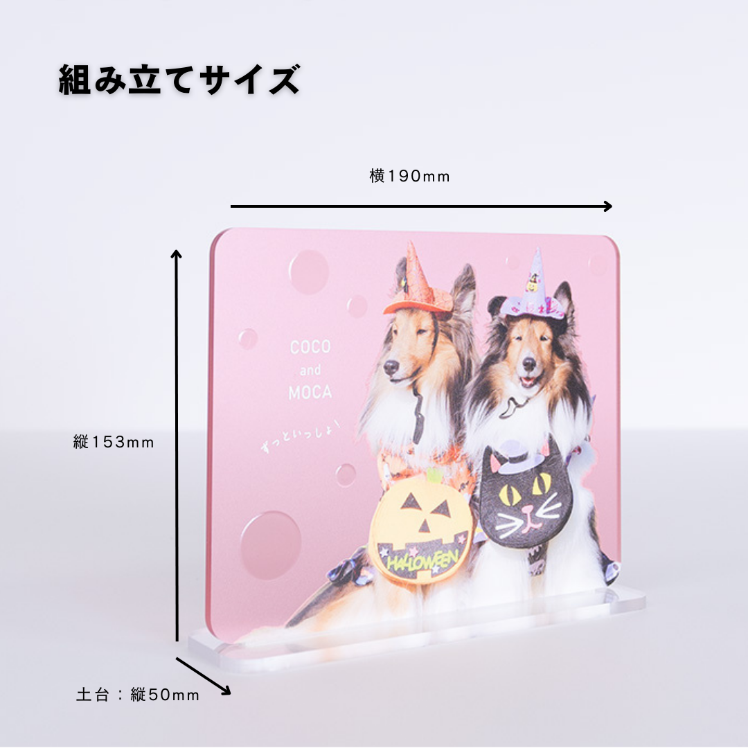 アクリルスタンド(四角) – 「うちのこ」セルフプロデュース アクリルスタンド(四角) – 「うちのこ」セルフプロデュース