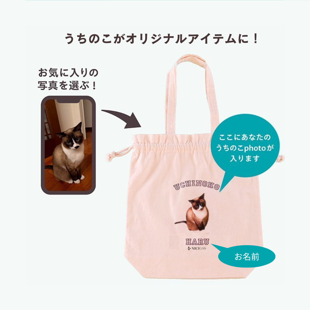 でガ割もふもふ新規加入特典（きんちゃくセット）