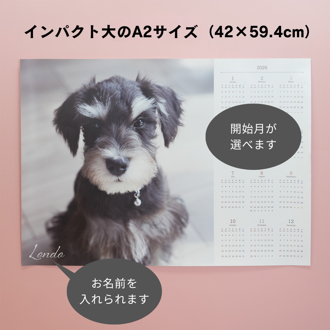 カレンダー（ポスタータイプ）
