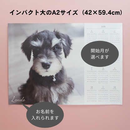 カレンダー（ポスタータイプ）