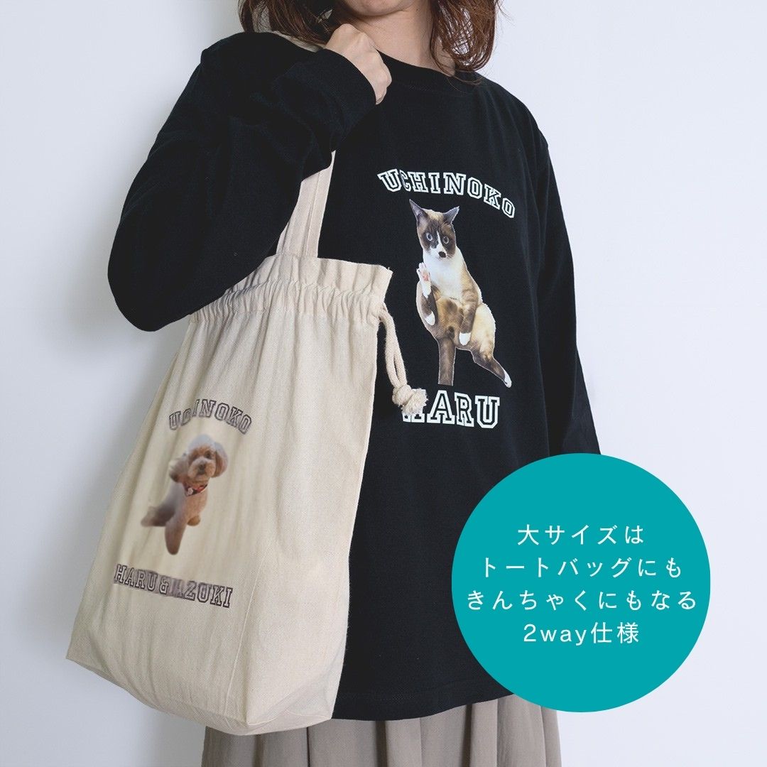 でガ割もふもふ新規加入特典（きんちゃくセット）