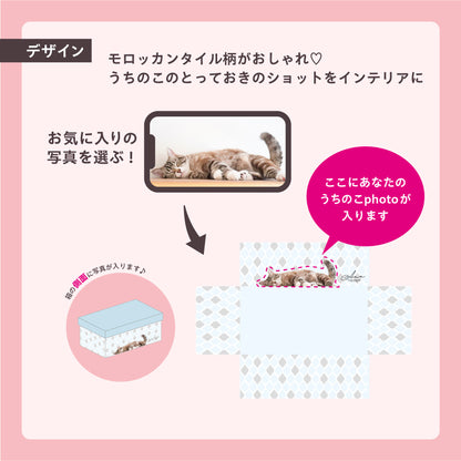 うちのこBOX -デザインシリーズ-　nap my pet