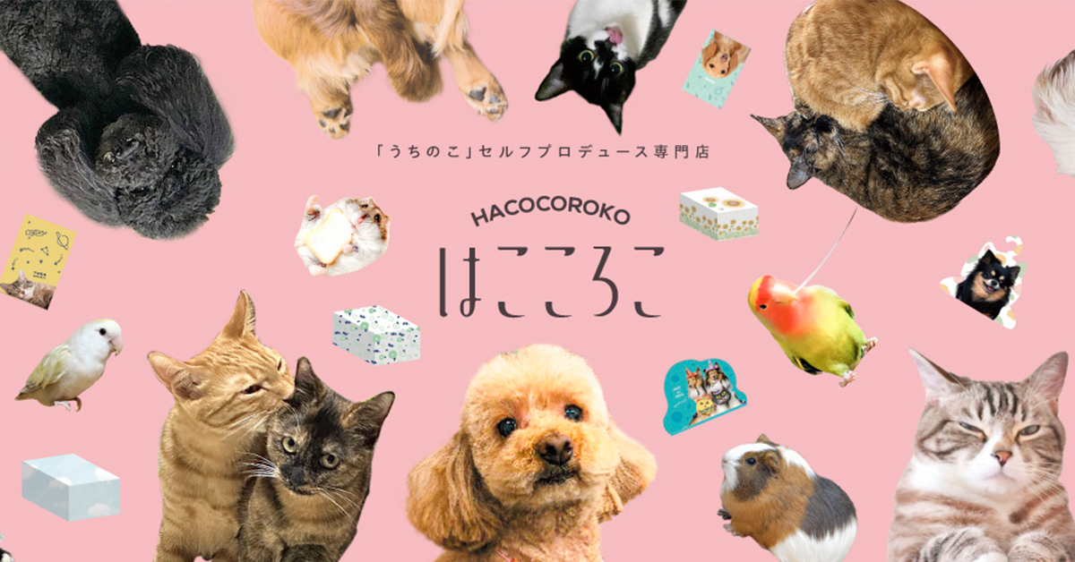 はこころこ