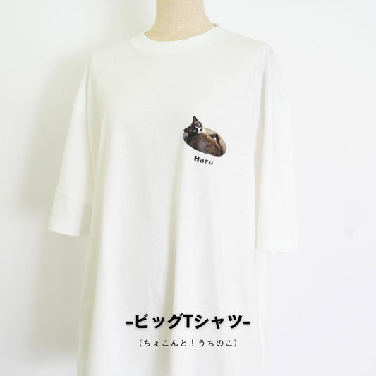 ビッグTシャツ(ちょこんと！うちのこ)